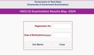 tnresults-nic-in-12th-result-2024