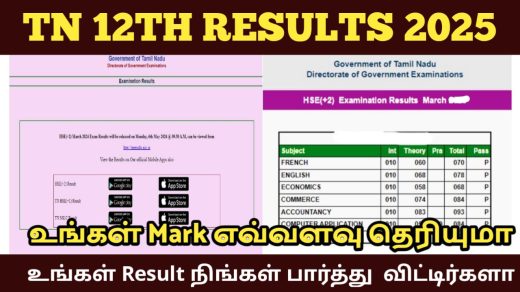 Tn 12 result 2025 website link